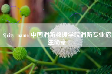 伊川中国消防救援学院消防专业招生简章