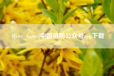 伊川中国消防公众号app下载