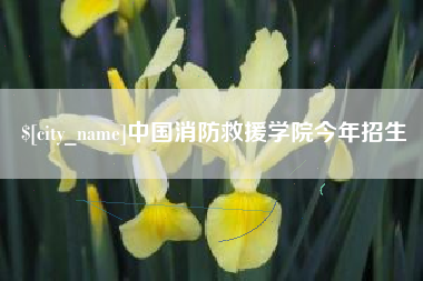 伊川中国消防救援学院今年招生