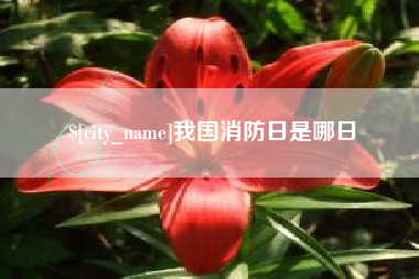 伊川我国消防日是哪日
