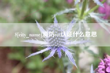 伊川消防ccc认证什么意思