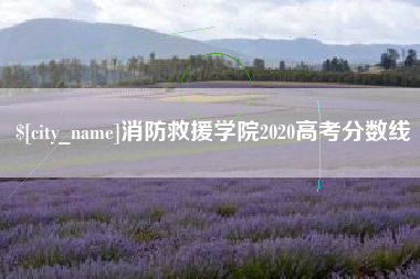 伊川消防救援学院2020高考分数线