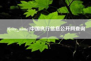 伊川中国执行信息公开网查询