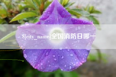 伊川全国消防日哪一
