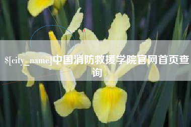 伊川中国消防救援学院官网首页查询