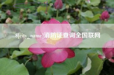 伊川消防证查询全国联网
