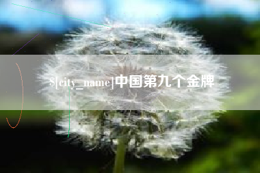 伊川中国第九个金牌