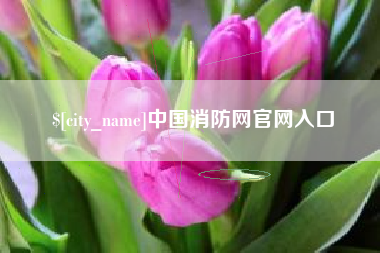 伊川中国消防网官网入口