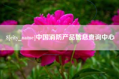 伊川中国消防产品信息查询中心