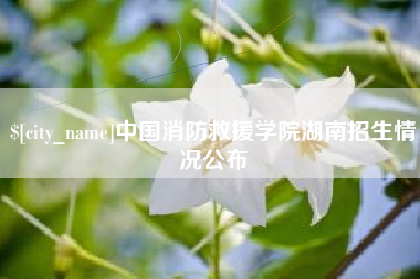 伊川中国消防救援学院湖南招生情况公布