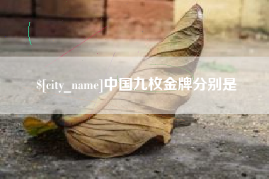 伊川中国九枚金牌分别是