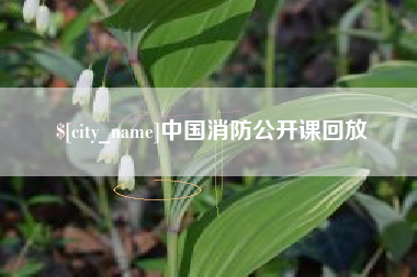 伊川中国消防公开课回放