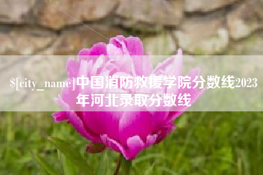 伊川中国消防救援学院分数线2023年河北录取分数线