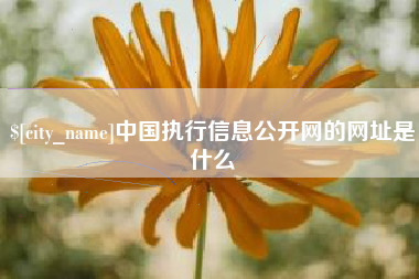 伊川中国执行信息公开网的网址是什么
