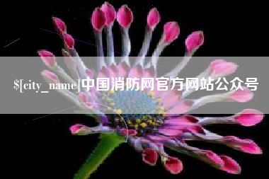伊川中国消防网官方网站公众号