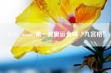 伊川第一波奥运金牌“九宫格”