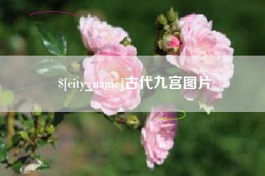 伊川古代九宫图片