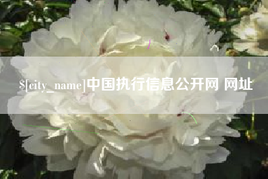 伊川中国执行信息公开网 网址