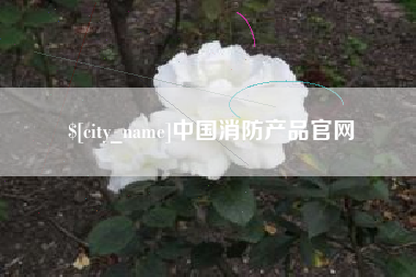 伊川中国消防产品官网