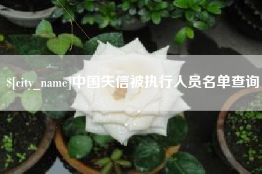 伊川中国失信被执行人员名单查询