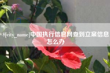 伊川中国执行信息网查到立案信息怎么办
