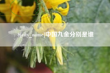 伊川中国九金分别是谁