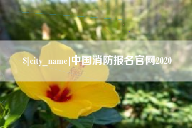 伊川中国消防报名官网2020