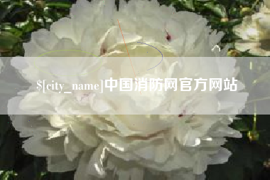 伊川中国消防网官方网站