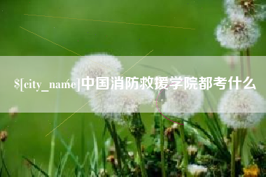 伊川中国消防救援学院都考什么