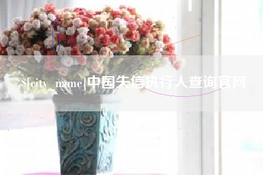 伊川中国失信执行人查询官网