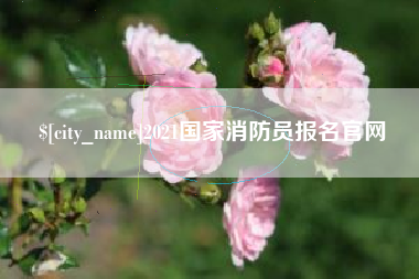 伊川2021国家消防员报名官网