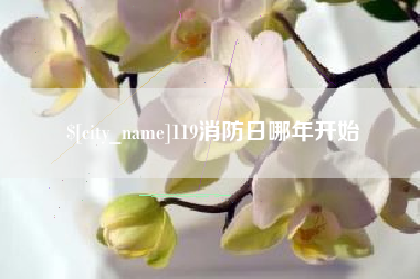 伊川119消防日哪年开始