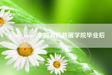 伊川中国消防救援学院毕业后