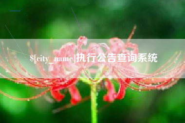 伊川执行公告查询系统