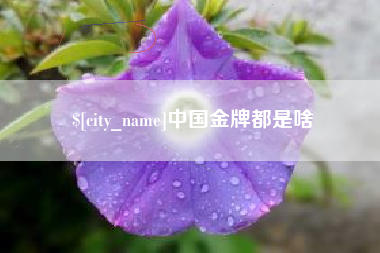 伊川中国金牌都是啥