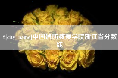 伊川中国消防救援学院浙江省分数线