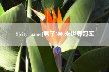 伊川男子5000米世界冠军