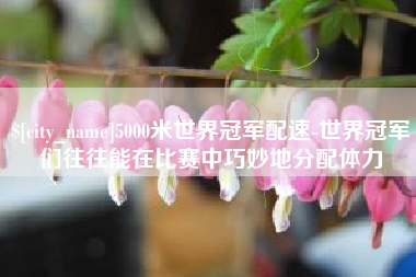 伊川5000米世界冠军配速-世界冠军们往往能在比赛中巧妙地分配体力