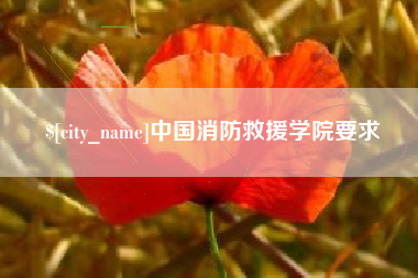伊川中国消防救援学院要求