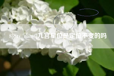 伊川九宫星位是定位不变的吗