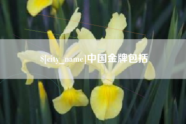 伊川中国金牌包括