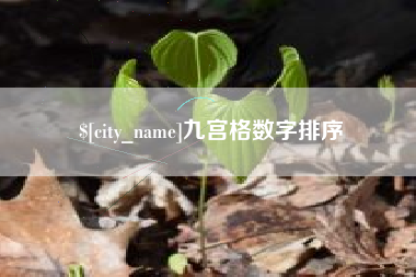 伊川九宫格数字排序