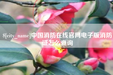 伊川中国消防在线官网电子版消防证怎么查询