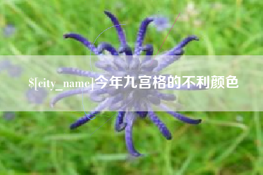 伊川今年九宫格的不利颜色