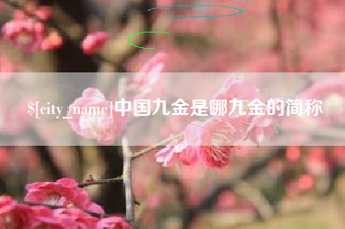 伊川中国九金是哪九金的简称