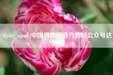 伊川中国消防网官方网站公众号达伦特