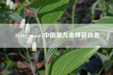 伊川中国第九金牌获得者