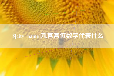 伊川九宫宫位数字代表什么