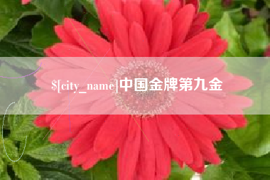 伊川中国金牌第九金
