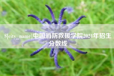 伊川中国消防救援学院2024年招生分数线